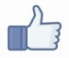 Facebook like winkelgebied Van Hoytemastraat